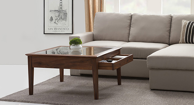 Sata Display Coffee Table(Teak)